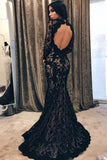 Black Mermaid Jewel Long Sleeve Lace Open Back Evening Dress,Long Prom Gown,N614