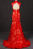 Red Sleeveless High Neck Sleeveless Evening Dresses Lace Tulle Prom Dresses N2331