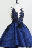 Royal Blue Sleeveless Lace Appliques Homecoming Dress N2052