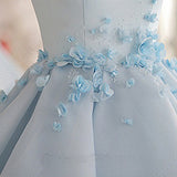 A Line Sky Blue Organza Sleeveless Flower Homecoming Dresses