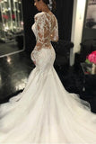 Gorgeous Ivory Long Sleeves Mermaid V-Neck Wedding Dresses With Lace Appliques