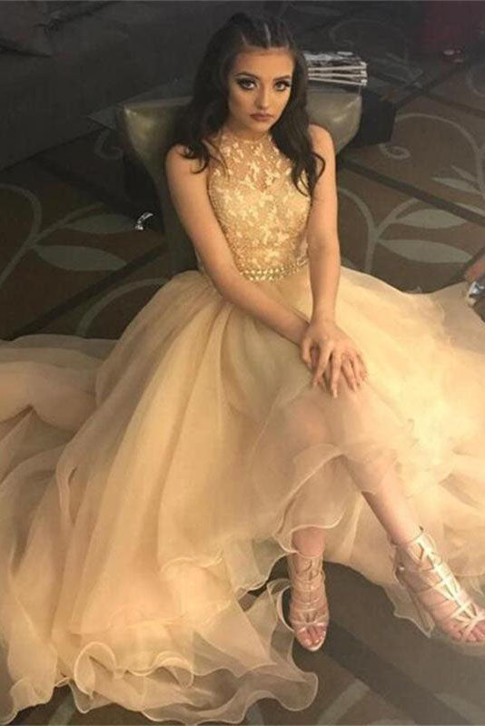A Line Sparkly Sleeveless Halter Organza Evening Dresses Prom Dresses