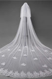 Ivory Lace Appliqued Cathedral Length Tulle Wedding Veil, Tulle Bridal Veil V033