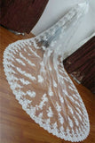 One Layer 3M Cathedral Veil Custom Lace Applique Bridal Veil Free Comb,V011
