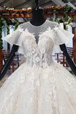 Gorgeous Ball Gown Big Wedding Dresses Princess Bridal Dresses with Sleeves N1969