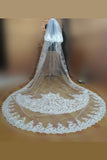 3.5m White Long Cathedral Bridal Wedding Veil With Comb 2 Tiers Lace Applique,V012