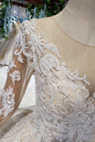 Princess Long Sleeves Sheer Neck Ball Gown Lace Wedding Dresses Long Bridal Dresses N1931